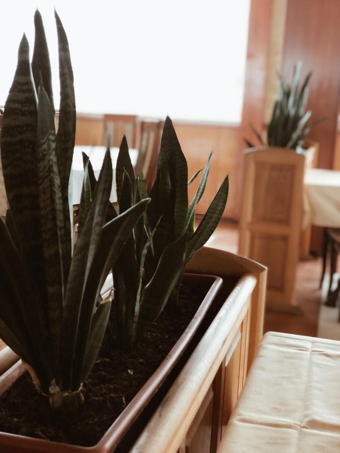 Hotel Kupres クープレス エクステリア 写真